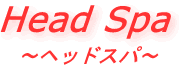 �w�b�h�X�p